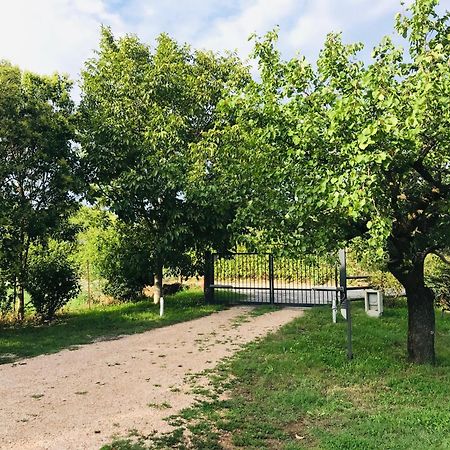 Una Casa Di Campagna Дособуоно Екстериор снимка