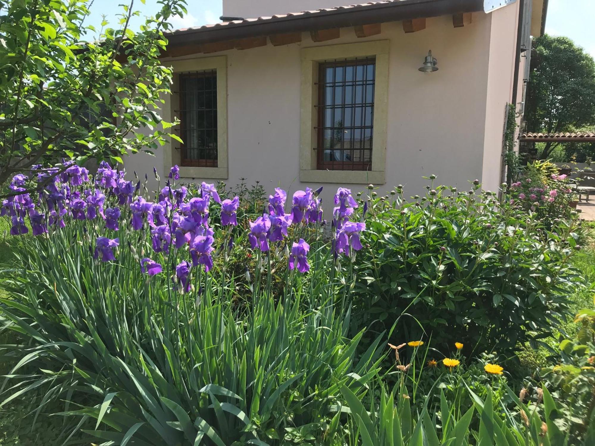 Una Casa Di Campagna Дособуоно Екстериор снимка